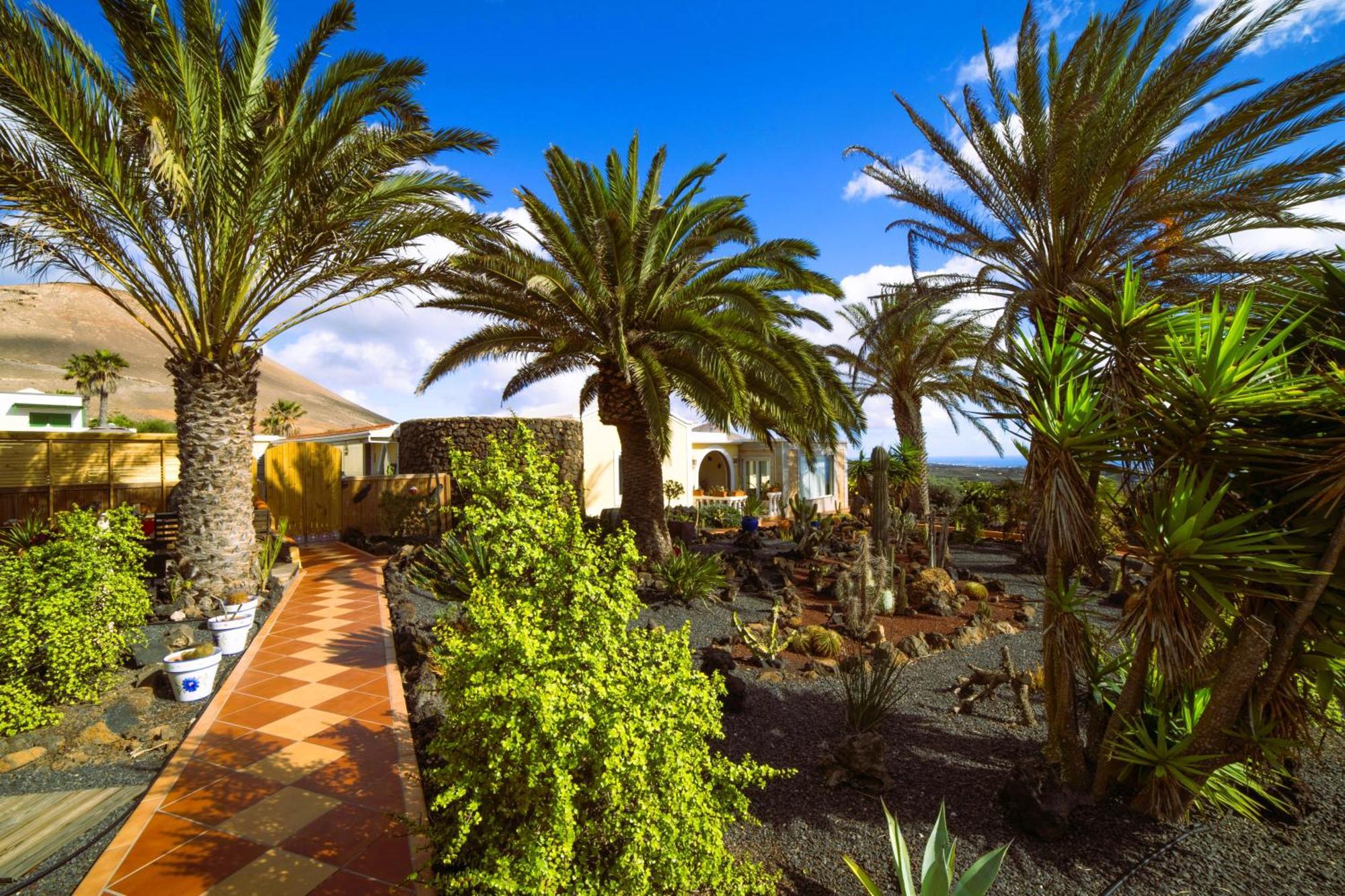 Madora - Sea View - Amazing Garden - Quiet Location - Bodegas & Hiking Trails Nearby Apartment *